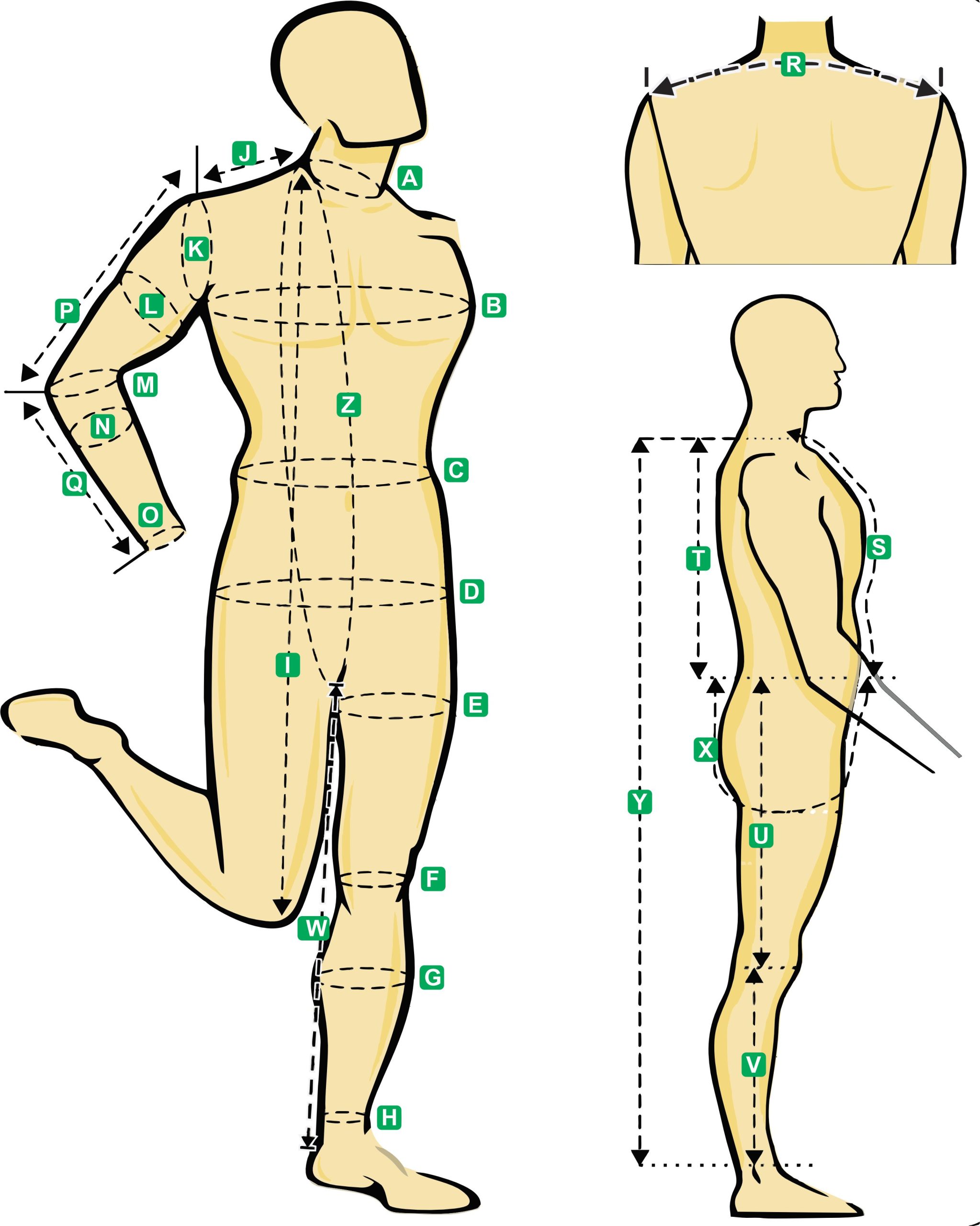 Meassurement guidance scaled